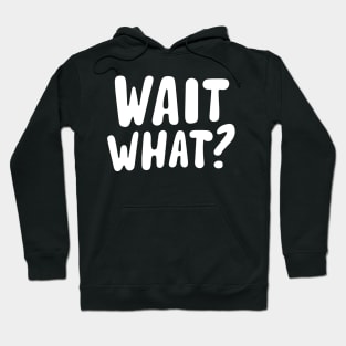 wait what ? Hoodie